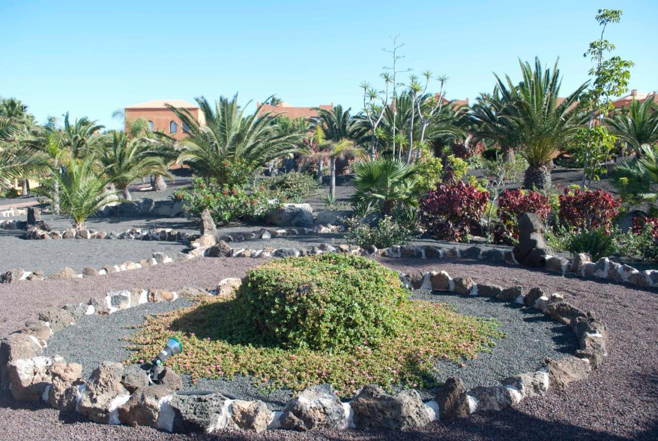 شقة Oasis Royal 3 Piscinas كوراليهو المظهر الخارجي الصورة