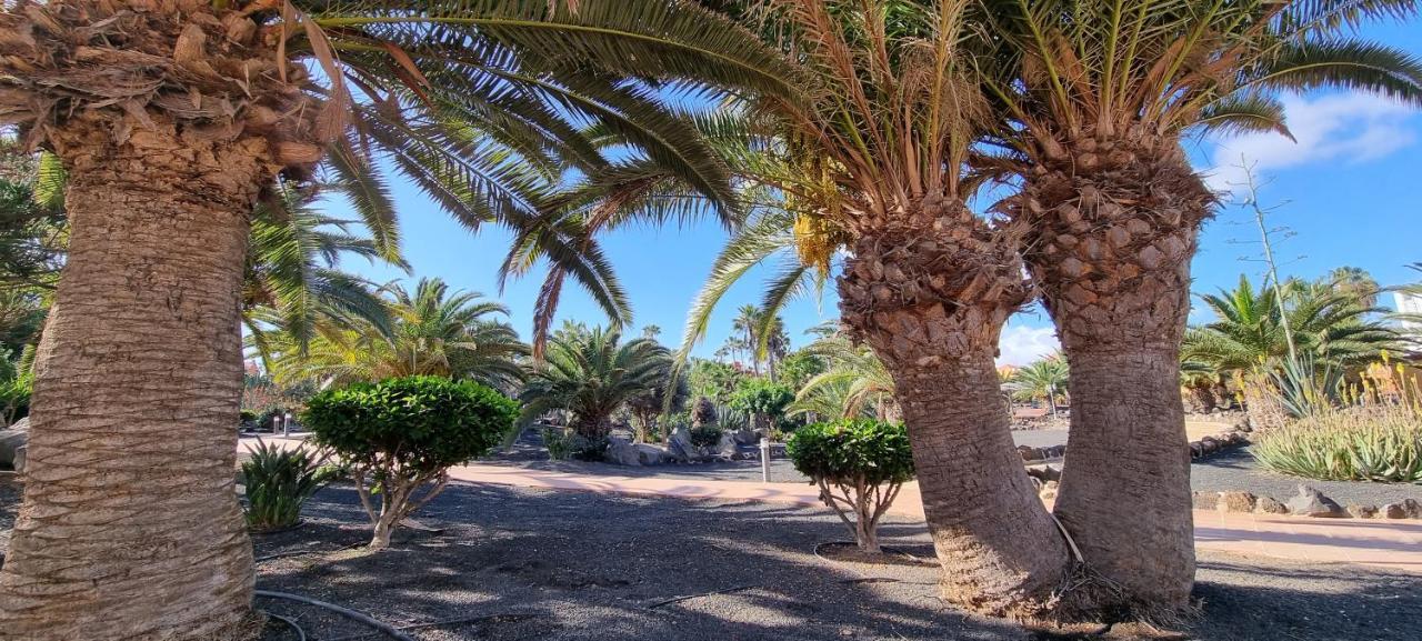 شقة Oasis Royal 3 Piscinas كوراليهو المظهر الخارجي الصورة